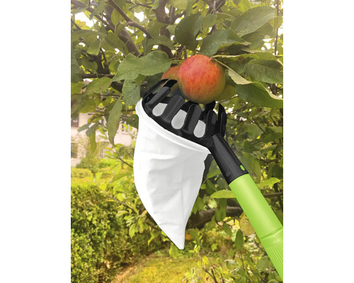 Zberač jabĺk pri práci na strome