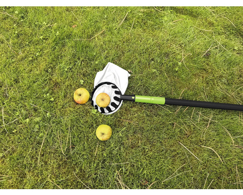 Zberač jabĺk s jablkami na trávniku