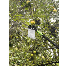 Zberač jabĺk používaný na jabloni