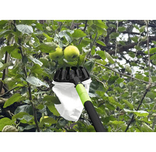 Zberač jabĺk v prevádzke na jabloni