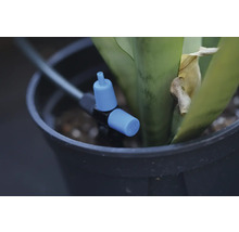 Kvapkový zavlažovací systém pre rastliny v kvetináči