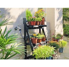 Kvety na poličke a v kvetináčoch vonku.