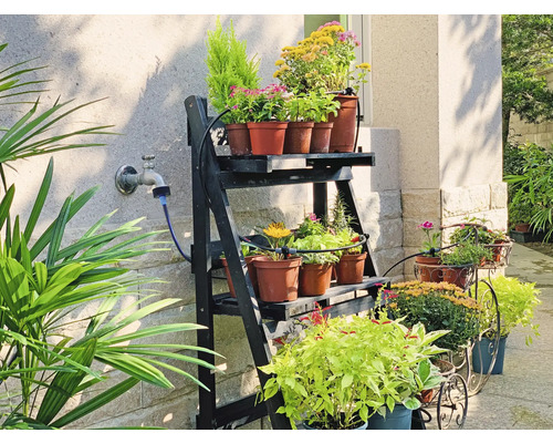 Kvety na poličke a v kvetináčoch vonku.