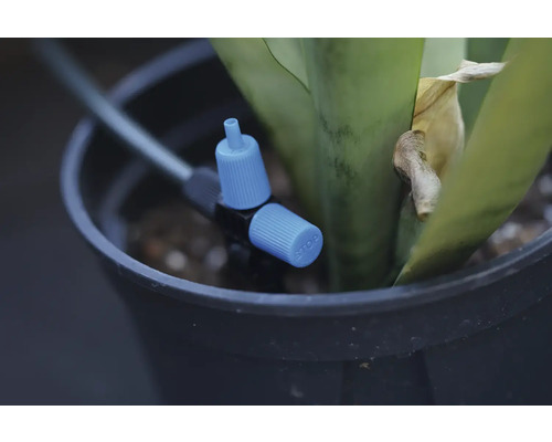 Kvapkač zavlažovacieho systému v kvetináči s rastlinou