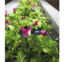 Kvetinový záhon so zavlažovacím systémom pre rastliny