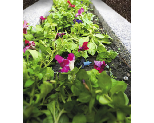 Kvetinový záhon so zavlažovacím systémom pre rastliny