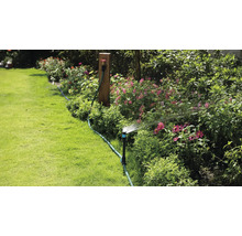 Zavlažovanie záhrady pomocou zavlažovača trávnika v kvitnúcej záhrade.