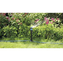 Záhradná scéna so zavlažovačom trávnika, ktorý zavlažuje rastliny