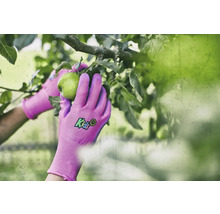 Detailný záber rúk v záhradných rukaviciach odtrhávajúcich jablko