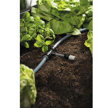 Zavlažovací systém v zeleninovom záhone s bazalkou a šalátom