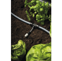 Zavlažovací systém s hadicou, T-kusom a rastlinami v záhradnom záhone