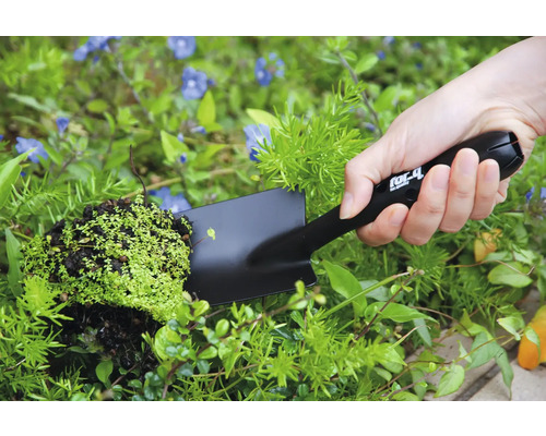 Osoba drží v záhrade ručnú lopatku s rastlinou.