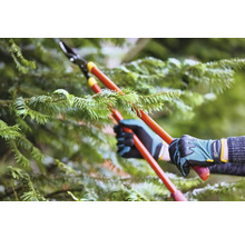 Starostlivosť o stromy pomocou nožníc na konáre na strome