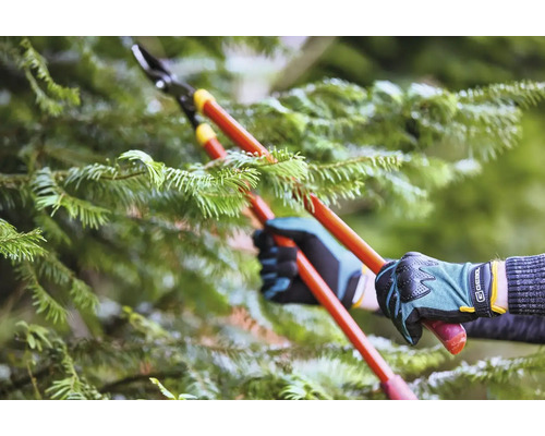 Starostlivosť o stromy pomocou nožníc na konáre na strome