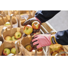 Ruky v záhradných rukaviciach držia jablká nad papierovými taškami plnými jabĺk