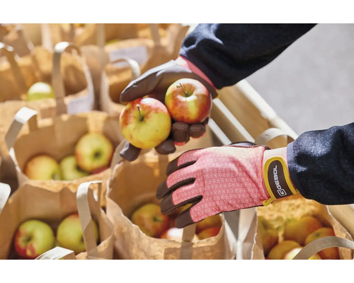 Ruky v záhradných rukaviciach držia jablká nad papierovými taškami plnými jabĺk