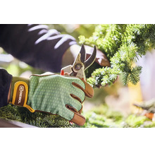 Osoba strihá vetvu jedle záhradníckymi nožnicami a má na sebe záhradnícke rukavice.