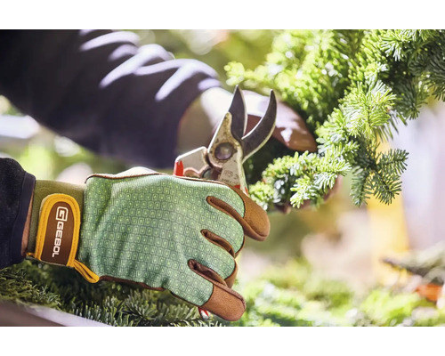 Osoba strihá vetvu jedle záhradníckymi nožnicami a má na sebe záhradnícke rukavice.