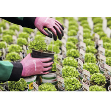 Záhradník so záhradnými rukavicami sadí horský mach v kvetináči