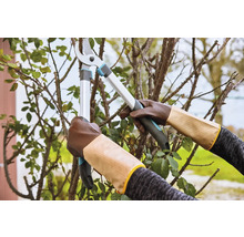 Záhradné nožnice strihajú konáre, nosené so záhradnými rukavicami