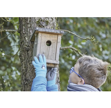 Chlapec montuje drevenú vtáčiu búdku na strom