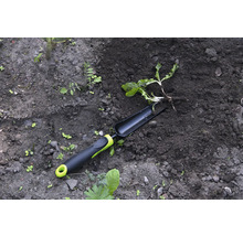 Záhradné náradie a rastlina v záhradnej pôde