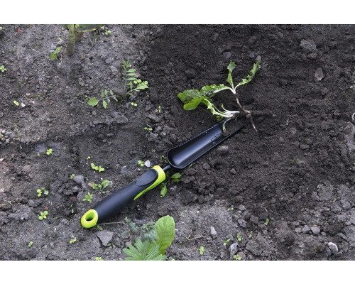 Záhradné náradie a rastlina v záhradnej pôde