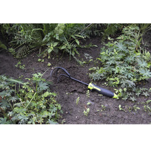 Záhradný kyprič umiestnený medzi rastlinami v záhone