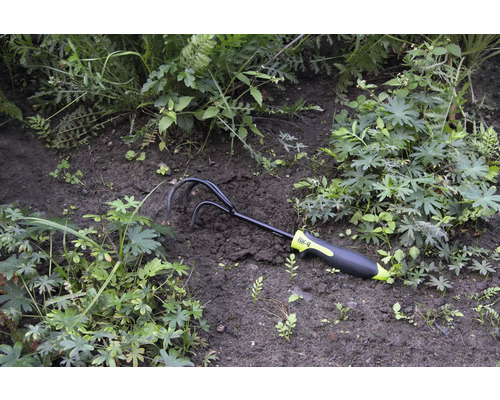 Záhradný kyprič umiestnený medzi rastlinami v záhone