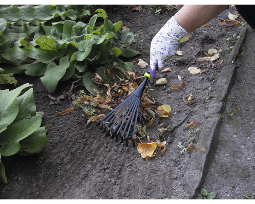 Osoba hrabe lístie hrabľami na lístie v záhrade.