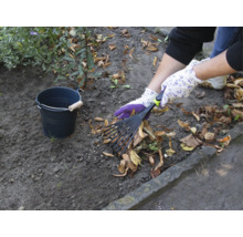 Záhradná scéna s hrabľami na lístie, záhradnými rukavicami a vedrom na zber lístia