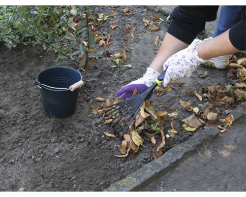 Záhradná scéna s hrabľami na lístie, záhradnými rukavicami a vedrom na zber lístia
