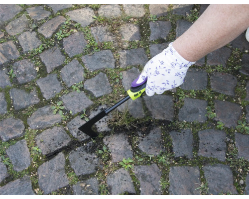 Osoba odstraňuje burinu škrabkou na škáry z dláždenej cesty.