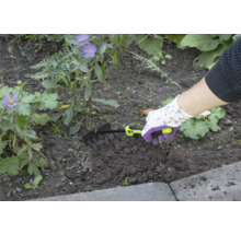Osoba používa malé hrable na záhradníctvo