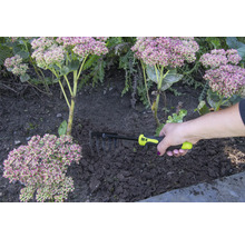 Ruka drží hrable na záhradníctvo vedľa rastlín.