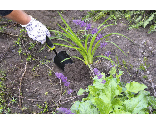Osoba sadí rastlinu do hliny pomocou ručnej lopatky.