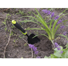 Záhradná scéna s malou záhradnou lopatkou vedľa rastliny s fialovými kvetmi.