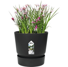 Kvetináč elho s rastlinou a miskou, integrovaný systém zavlažovania, vyrobené z recyklovaných materiálov.