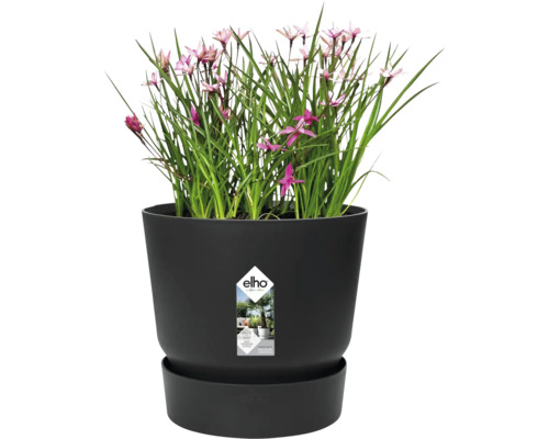 Kvetináč elho s rastlinou a miskou, integrovaný systém zavlažovania, vyrobené z recyklovaných materiálov.