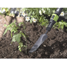 Úzka kovová sadiaca lopatka for_q v hline vedľa malej rastliny, svetlé a prírodné záhradné prostredie.