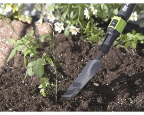 Úzka kovová sadiaca lopatka for_q v hline vedľa malej rastliny, svetlé a prírodné záhradné prostredie.