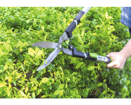 Ručné nožnice na živý plot for_q pri strihaní zeleného živého plota v záhrade.