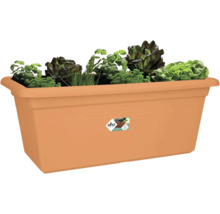 Obdĺžnikový kvetináč elho v terakotovej farbe osadený bylinkami a šalátmi, ako je petržlen, pažítka a rôzne druhy listových šalátov.