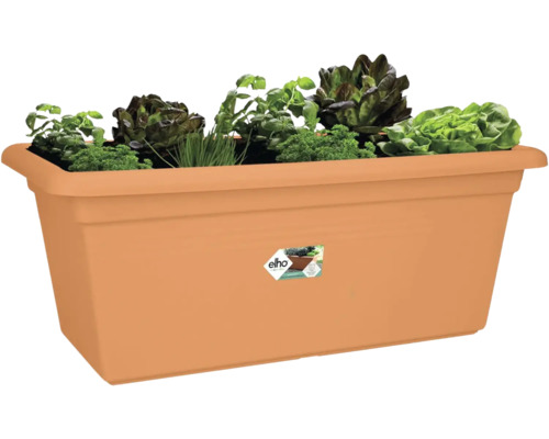 Obdĺžnikový kvetináč elho v terakotovej farbe osadený bylinkami a šalátmi, ako je petržlen, pažítka a rôzne druhy listových šalátov.