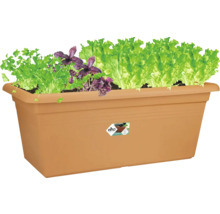 Truhlík Elho s bylinkami a šalátom, obdĺžnikový, plastový, na balkón a záhradu.