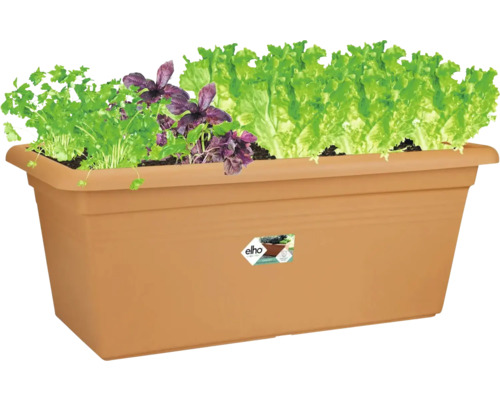 Truhlík Elho s bylinkami a šalátom, obdĺžnikový, plastový, na balkón a záhradu.