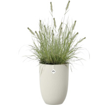 Vysoký biely kvetináč s vrúbkovanou štruktúrou od Elho, osadený okrasnou trávou. Elho Logo.