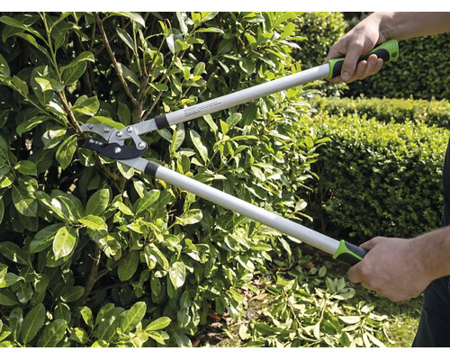 Osoba strihá živý plot na záhrade pomocou pákových nožníc na konáre. Nožnice na konáre majú dlhé rukoväte a ergonomické úchopy.
