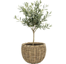 Košík na sadenieLeah Sanur z prírodných vlákien Ø 50 cm V 40 cm sivohnedý vrátane fólie na sadenie