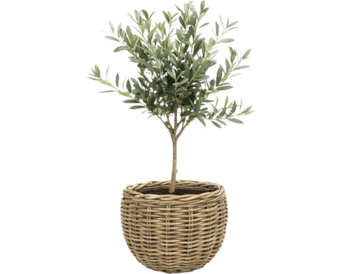 Košík na sadenieLeah Sanur z prírodných vlákien Ø 50 cm V 40 cm sivohnedý vrátane fólie na sadenie